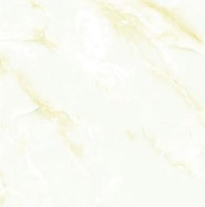 CERANOSA 60X60 CG360451